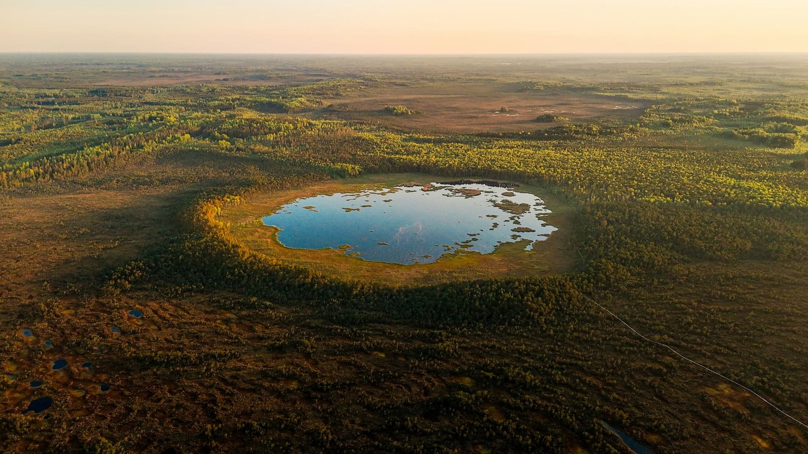 Aerial view of a bog at dawn: a single lake ringed by peat and low forest, flat land running to the horizon.