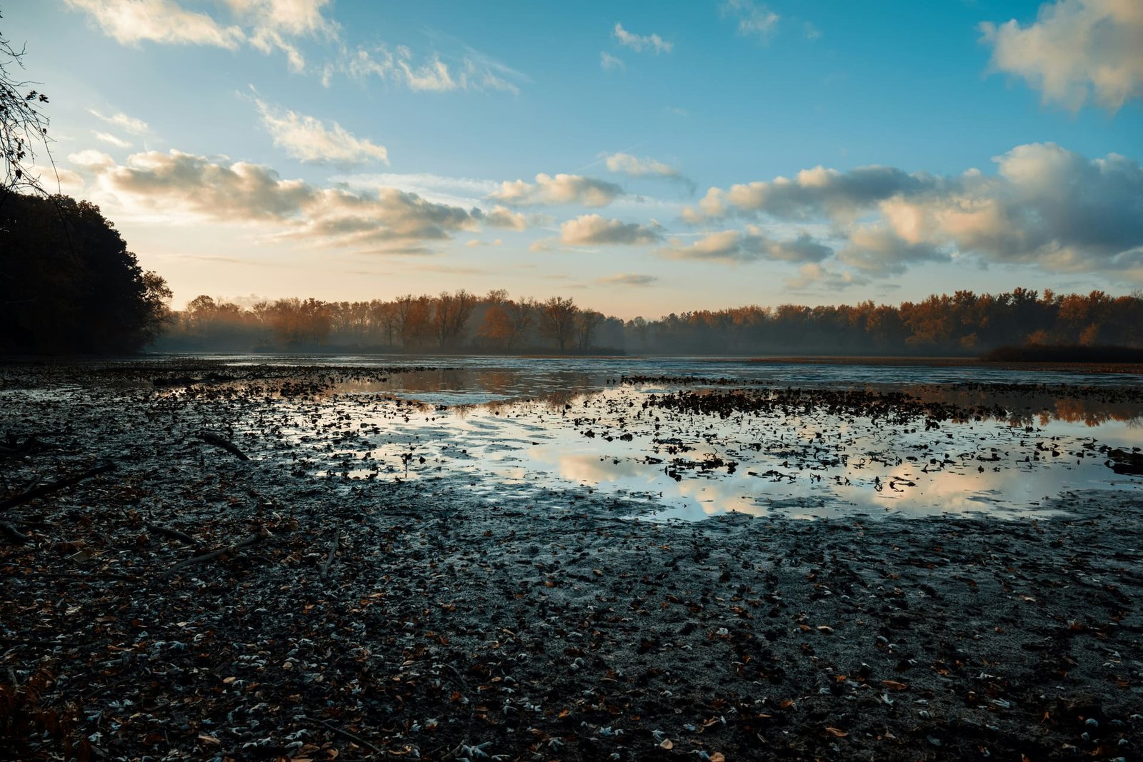 A frozen wetland shore under a cold blue sky, autumn trees in fog along the far bank.